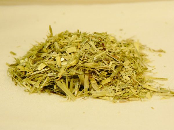 Grüner Hafer, BIO – von NATURA MEDICA – Gesundheit aus der Natur.