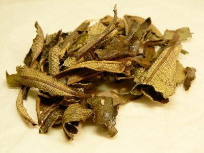 Yerba Santa